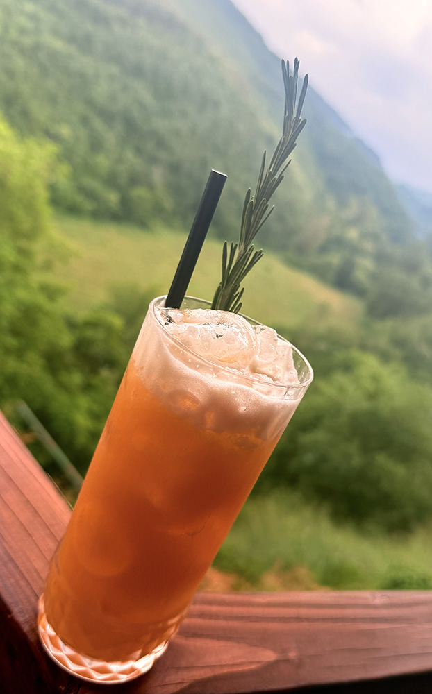 Restaurant Hotel des Rochers