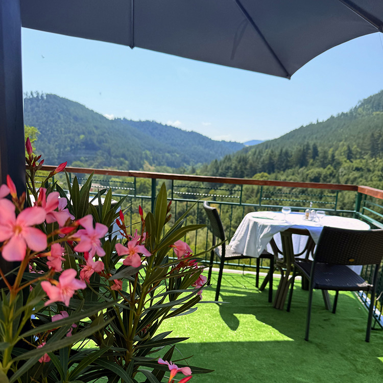 Restaurant Hotel des Rochers