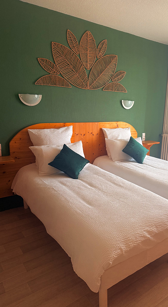Chambre twin hotel des rochers